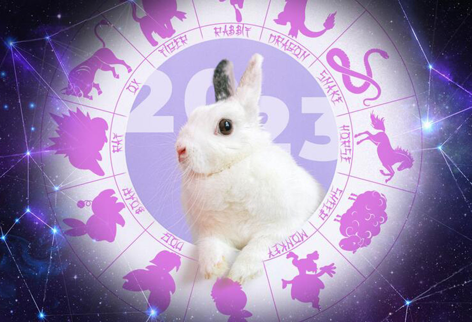 Какой знак зодиака в 2023. Год кролика. Китайский Зодиак кролик. Астропрогноз на 2023. Гороскоп на 2023.